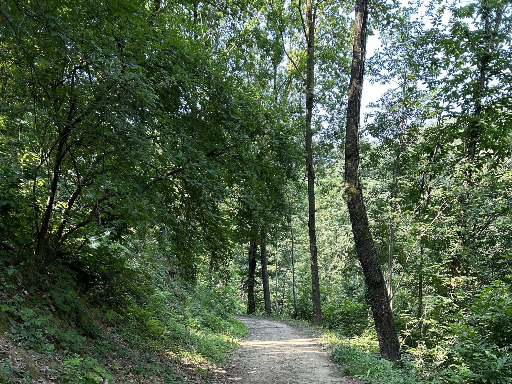 Il Giardino Di Berbech Citta Alta - Castagno Leilighet Bergamo Eksteriør bilde